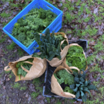 Screenshot 2026-01-21 at 12.59.08