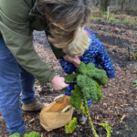 Screenshot 2026-01-21 at 12.59.15