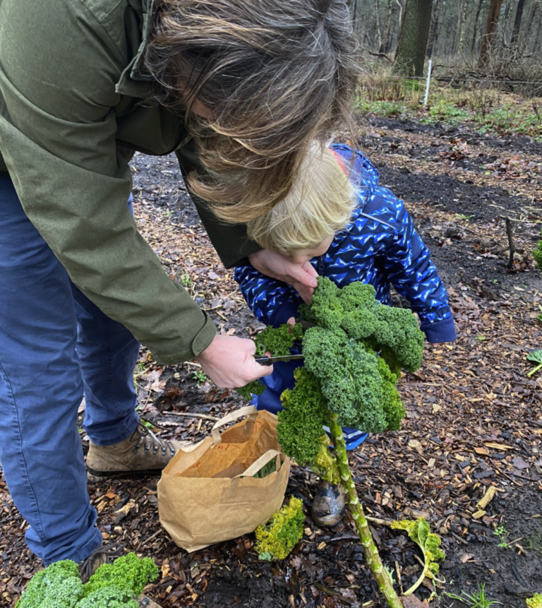 Screenshot 2026-01-21 at 12.59.15