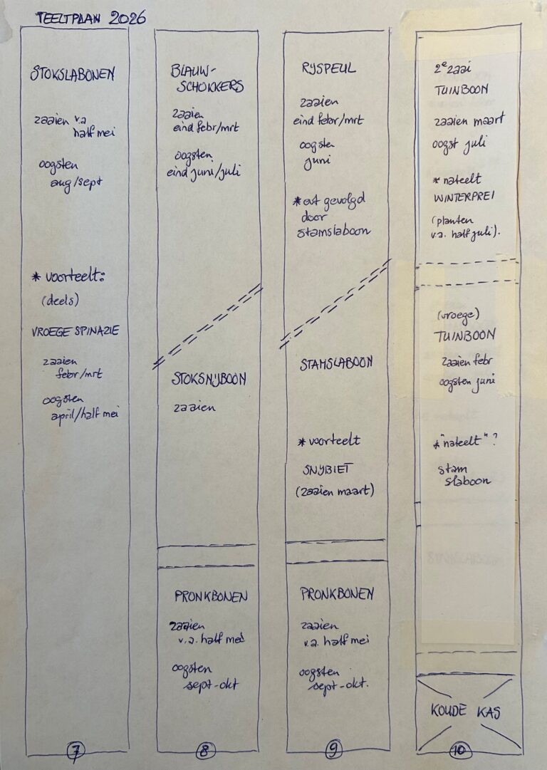 teeltplan 2026 (1)